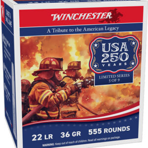 WINCHESTER 22LR 36GR PLATED HP - 1280FPS 555RD 10BX/CS