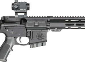S&W M&P15 SPORT III 5.56 RIFLE - 10-SH CTS106 ST COMP FIX STK